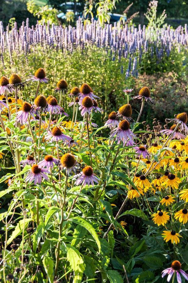 فورين Puurteuven B&B Tussen Kunst En Natuur المظهر الخارجي الصورة
